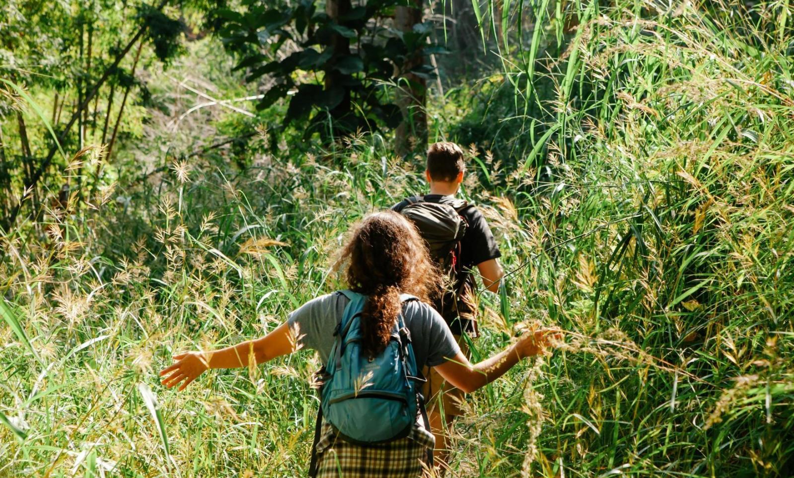 Family assistance planning session showing personalized support approach